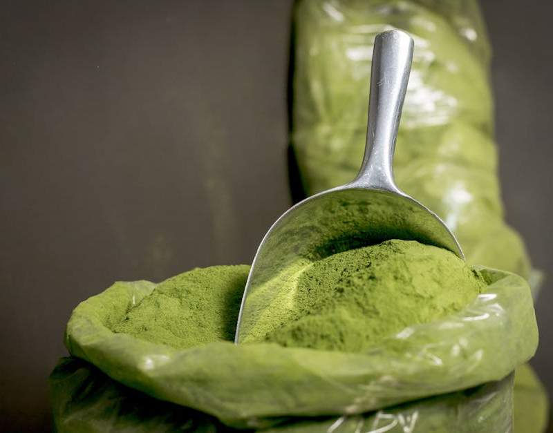 Benefícios da spirulina, um superalimento rico em proteínas, vitaminas e antioxidantes.