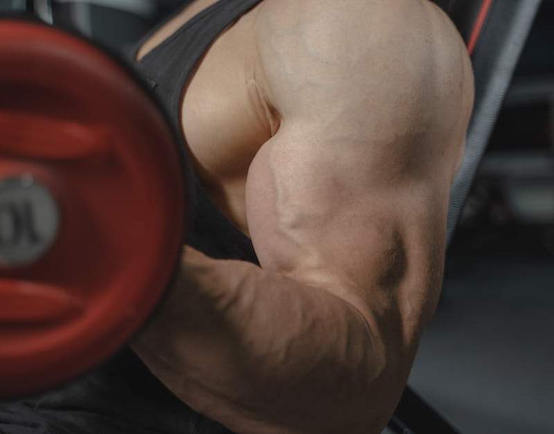 Os 18 melhores suplementos para ganhar massa muscular com base em evidência científica. Guia completo com doses, stacks e dicas.